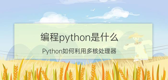 编程python是什么 Python如何利用多核处理器？